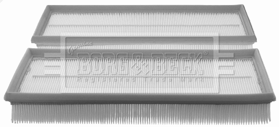 Air Filter (BFA2143)