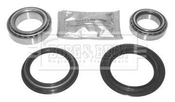 Wheel Bearing Kit (BWK770)