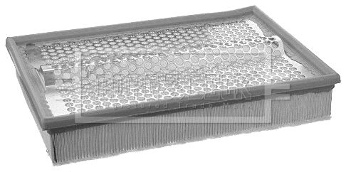 Air Filter (BFA2198)