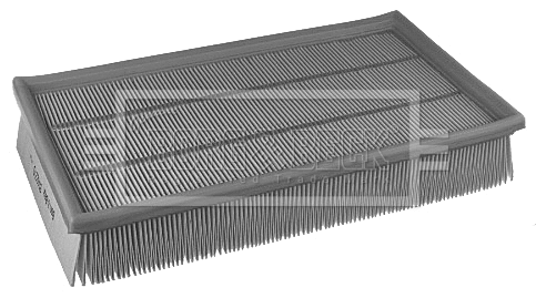 Air Filter (BFA2270)