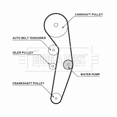 Water Pump & Timing Belt Kit (BTW1010)