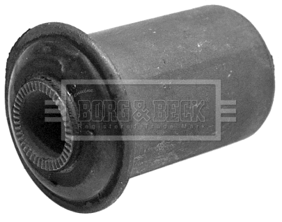Mounting, control/trailing arm (BSK6392)