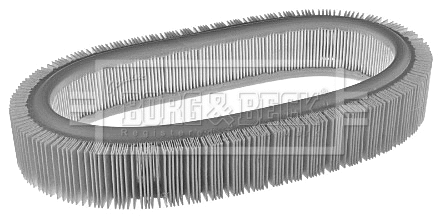 Air Filter (BFA2348)