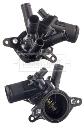 Thermostat, coolant (BBT520)