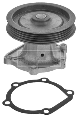 Water Pump, engine cooling (BWP1791)