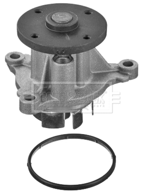 Water Pump, engine cooling (BWP2436)