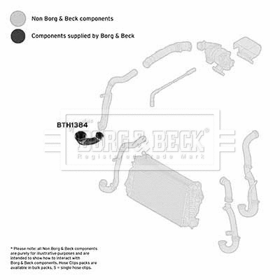 Charge Air Hose (BTH1384)