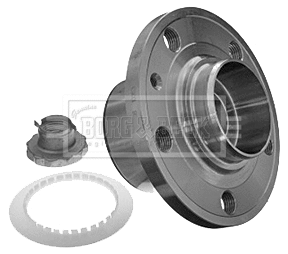Wheel Bearing Kit (BWK809)
