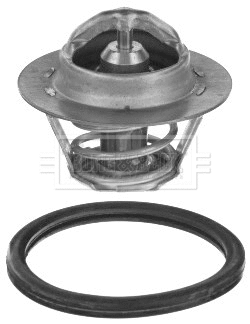 Thermostat, coolant (BBT064)