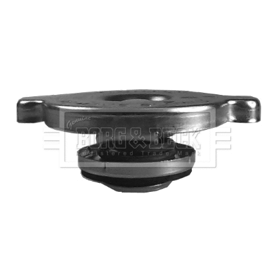 Cap, radiator (BRC87)