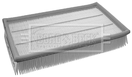 Air Filter (BFA2097)