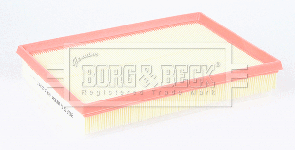 Air Filter (BFA2049)