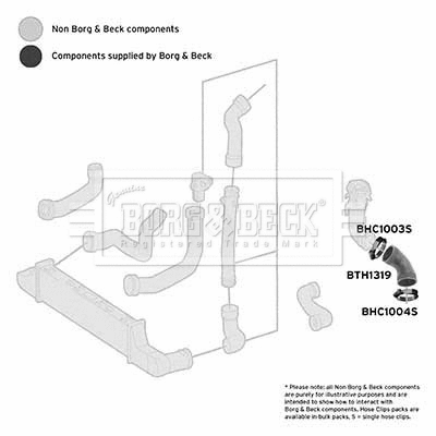 Charge Air Hose (BTH1319)