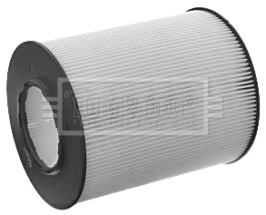 Air Filter (BFA2121)