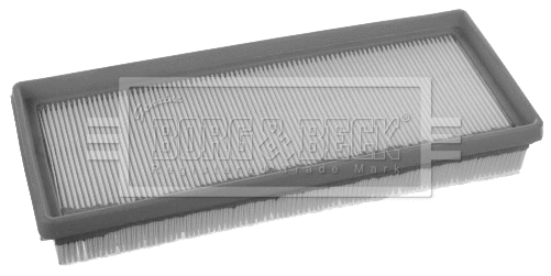 Air Filter (BFA2453)