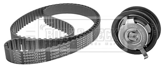 Timing Belt Kit (BTK1018)