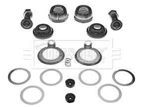 Repair Kit, wheel suspension (BSK5918)