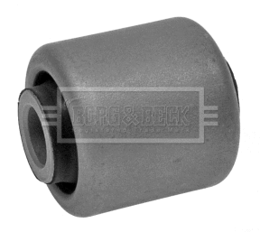 Mounting, control/trailing arm (BSK6998)