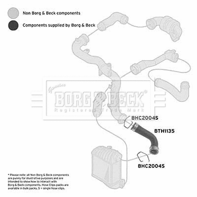 Charge Air Hose (BTH1135)