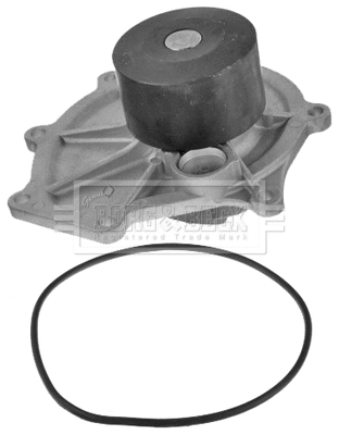 Water Pump, engine cooling (BWP1936)