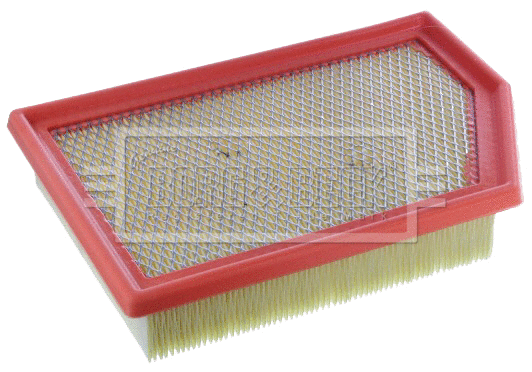 Air Filter (BFA2563)
