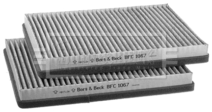 Filter, cabin air (BFC1067)