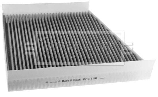 Filter, cabin air (BFC1191)