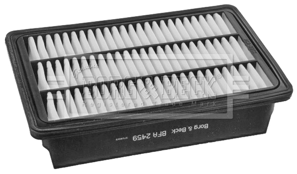 Air Filter (BFA2459)