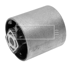 Mounting, control/trailing arm (BSK6927)