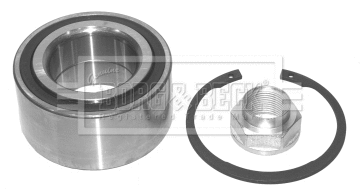 Wheel Bearing Kit (BWK1021)