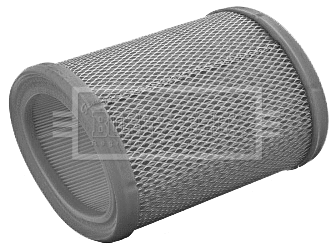 Air Filter (BFA2074)