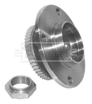 Wheel Bearing Kit (BWK488)