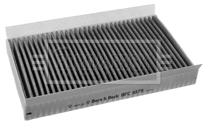Filter, cabin air (BFC1079)