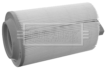 Air Filter (BFA2060)