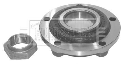 Wheel Bearing Kit (BWK377)