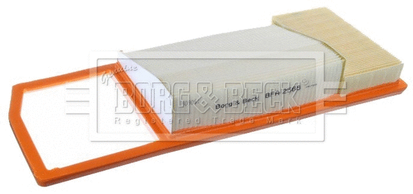 Air Filter (BFA2568)