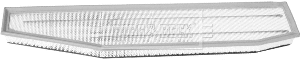 Air Filter (BFA2398)