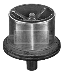 Thermostat, coolant (BBT287)