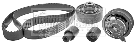 Timing Belt Kit (BTK1001)