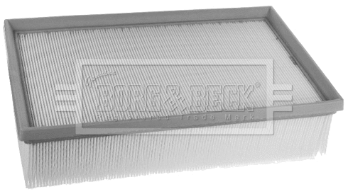 Air Filter (BFA2490)