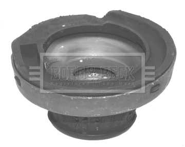 Suspension Strut Support Mount (BSM5143)