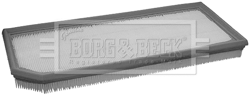 Air Filter (BFA2165)