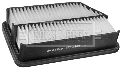Air Filter (BFA2389)