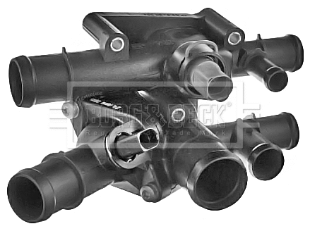 Thermostat, coolant (BBT401)