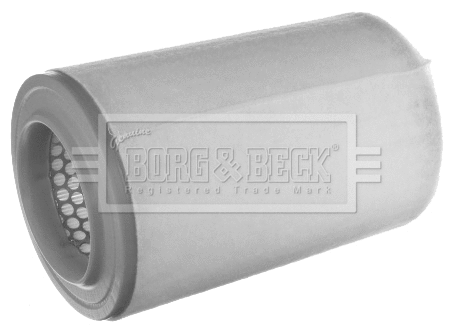 Air Filter (BFA2483)