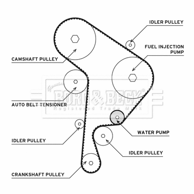 Water Pump & Timing Belt Kit (BTW1005)