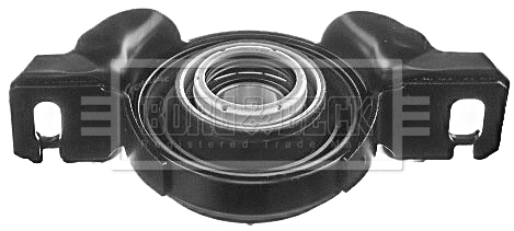 Suspension, propshaft (BPB1144)