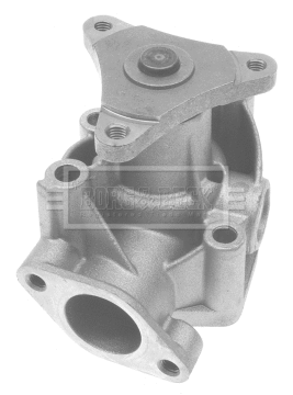 Water Pump, engine cooling (BWP1573)