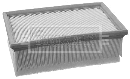 Air Filter (BFA2098)