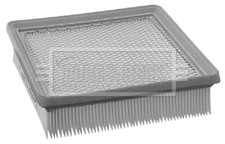 Air Filter (BFA2156)